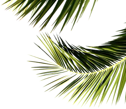 Experion leaves image